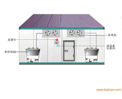 甘肃冷冻冷库设计与兰州螺杆式风水冷机推荐 聚焦众达制冷设备公司的专业服务